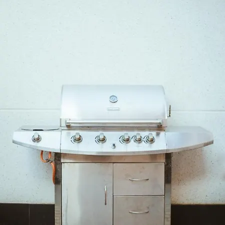 Mk77 - Palomera León