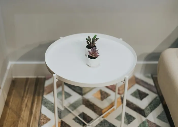 Mk77 - Palomera * León