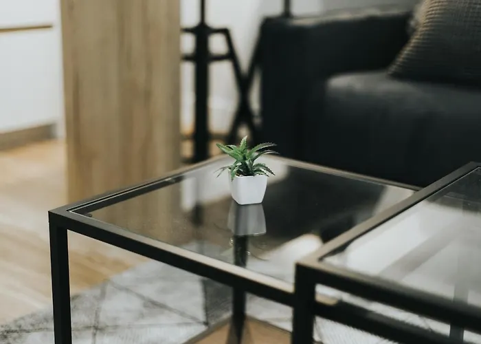 Mk77 - Palomera 레온