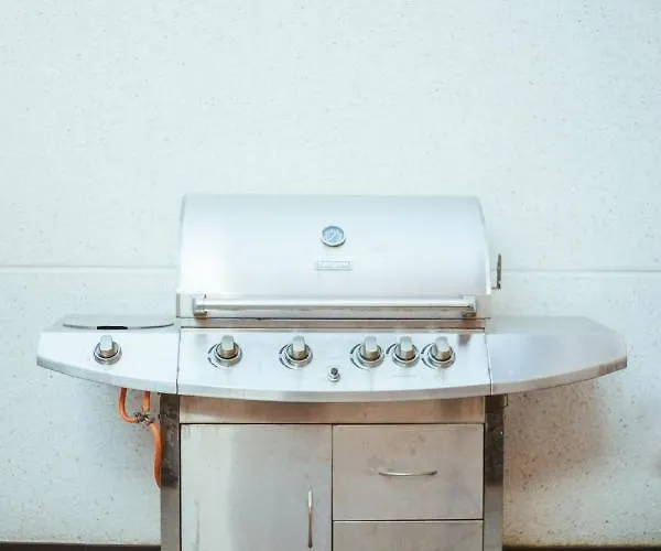 Mk77 - Palomera León